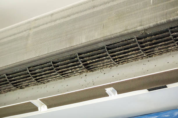Best HVAC Duct Inspection Services  in Bennington, NE